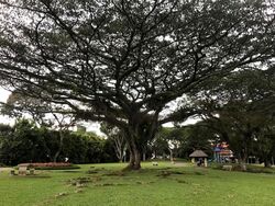 Clementi Park (D21), Detached #582422991